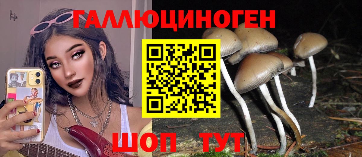 Галлюциногенные грибы прущие грибы Нальчик